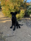 Sully - Photo 2