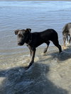 Sully - Photo 3