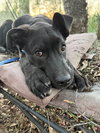 Sully - Photo 4