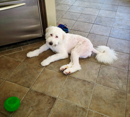 Molly photo 3
