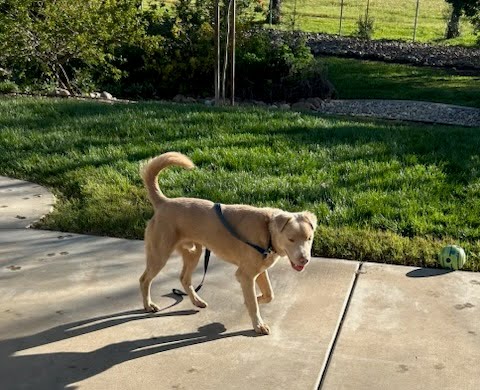 Thaddeus photo 6