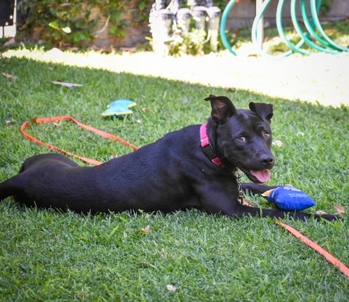 Marilynn photo 3