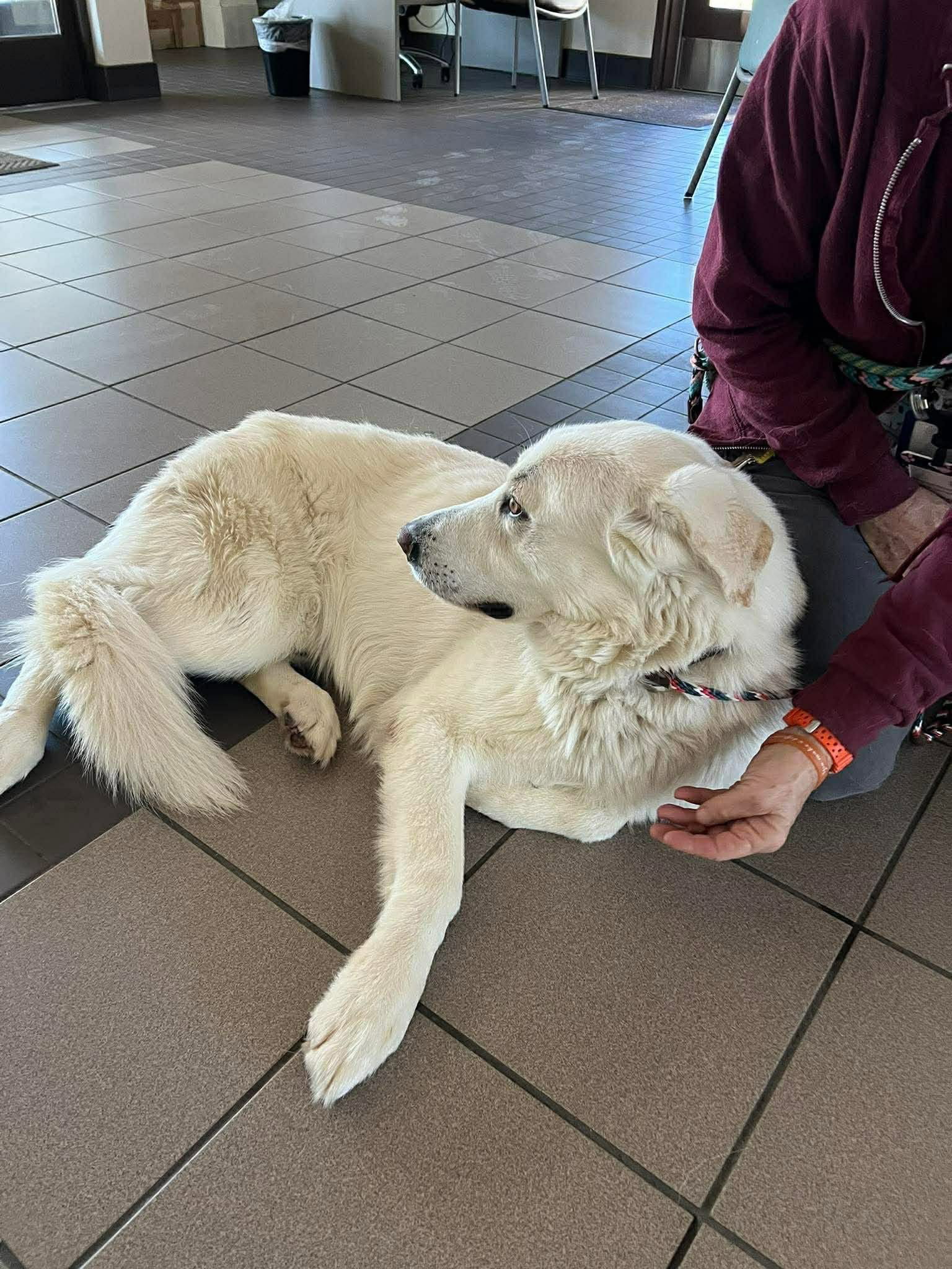 Max