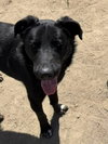 Potter - Photo 3