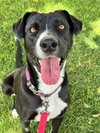 Sadie - Photo 7