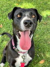 Sadie - Photo 8