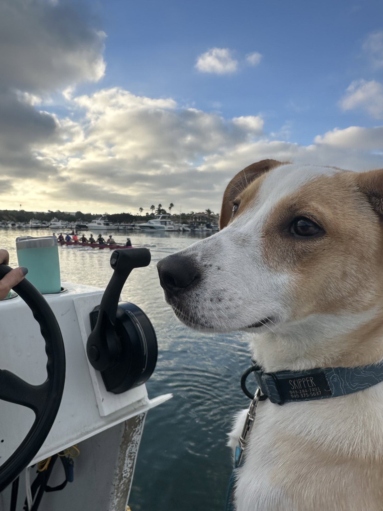 photo of Goofy aka Skipper