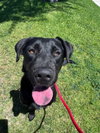 Hazel - Photo 4