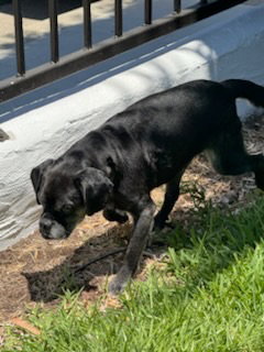 Pugsy Malone photo 2