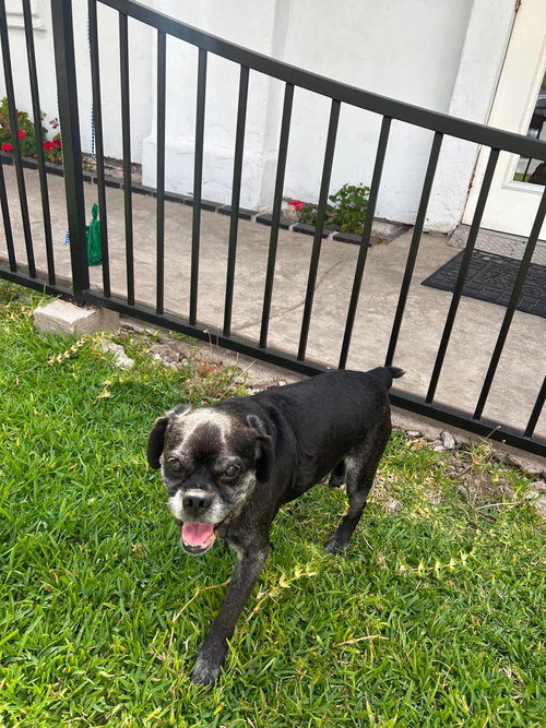 Pugsy Malone photo 6