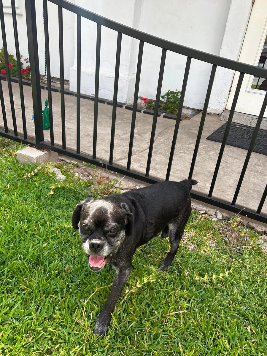 Pugsy Malone