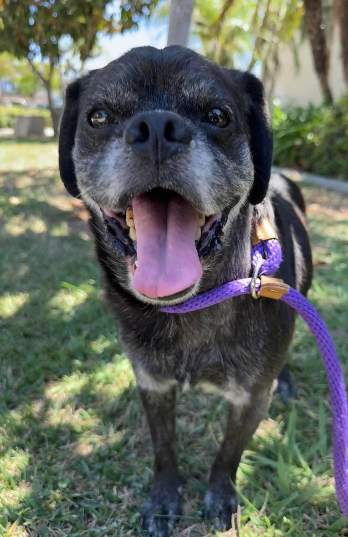photo of Pugsy Malone
