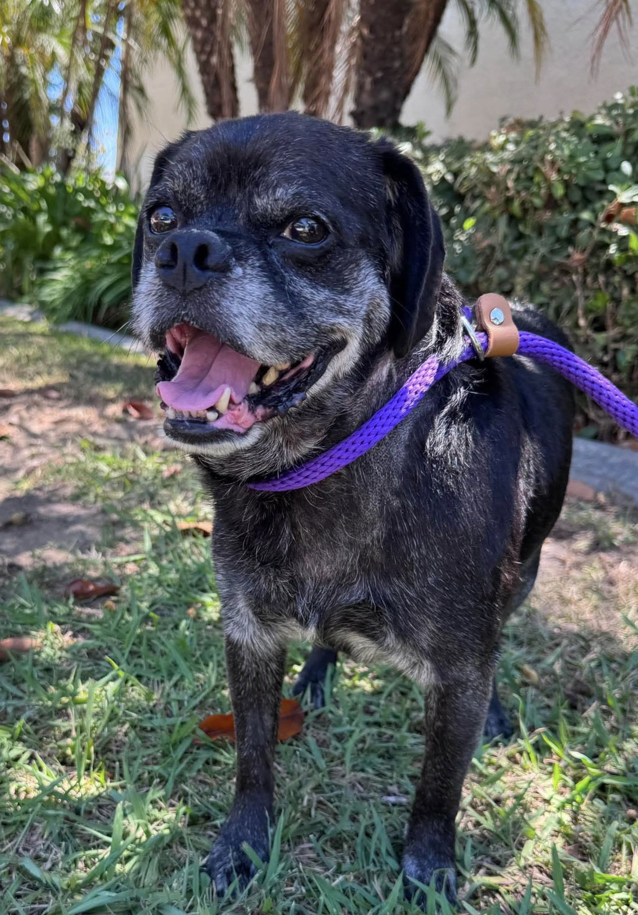 photo of Pugsy Malone