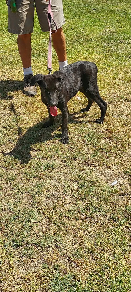 Cedric photo 2