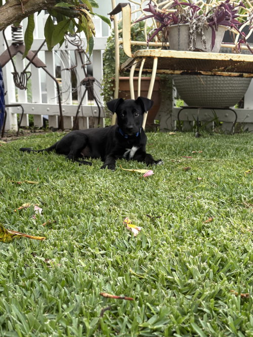 Luca photo 3