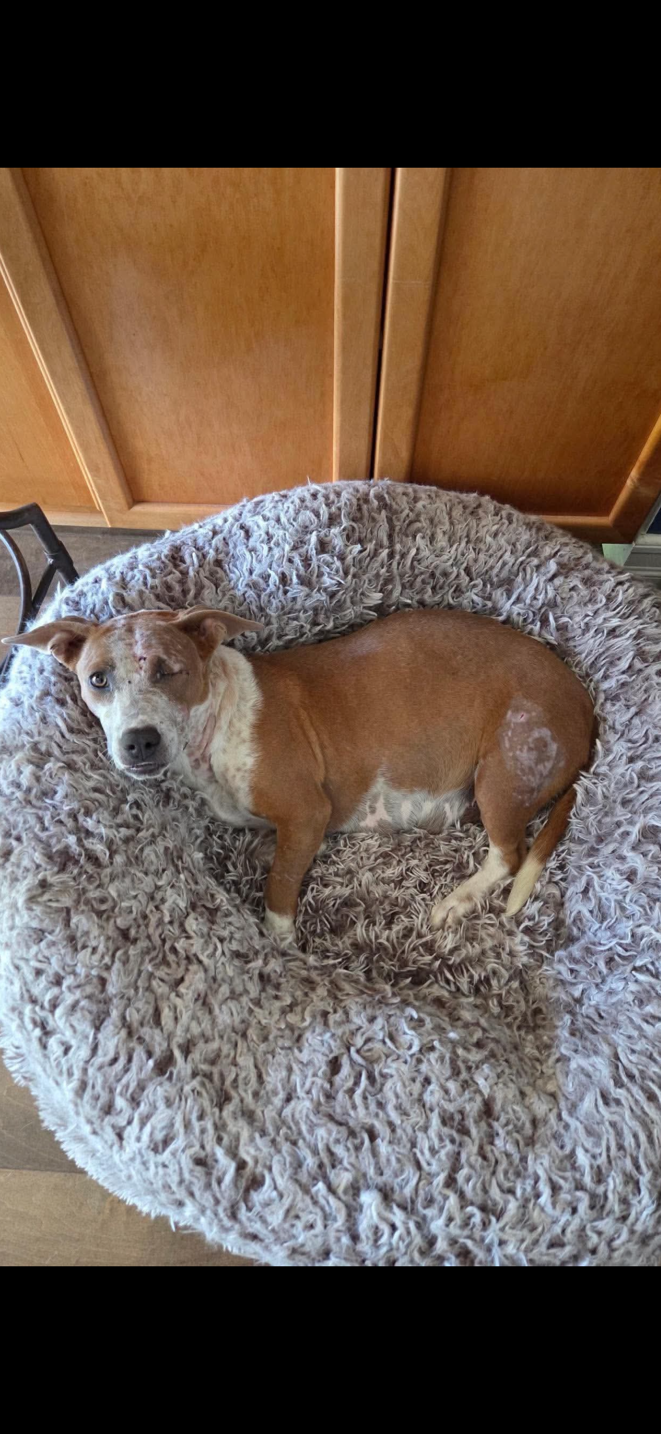 photo of Emma - Momma