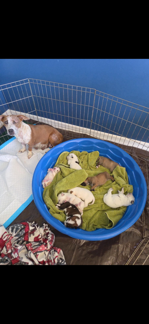 Emma - Momma