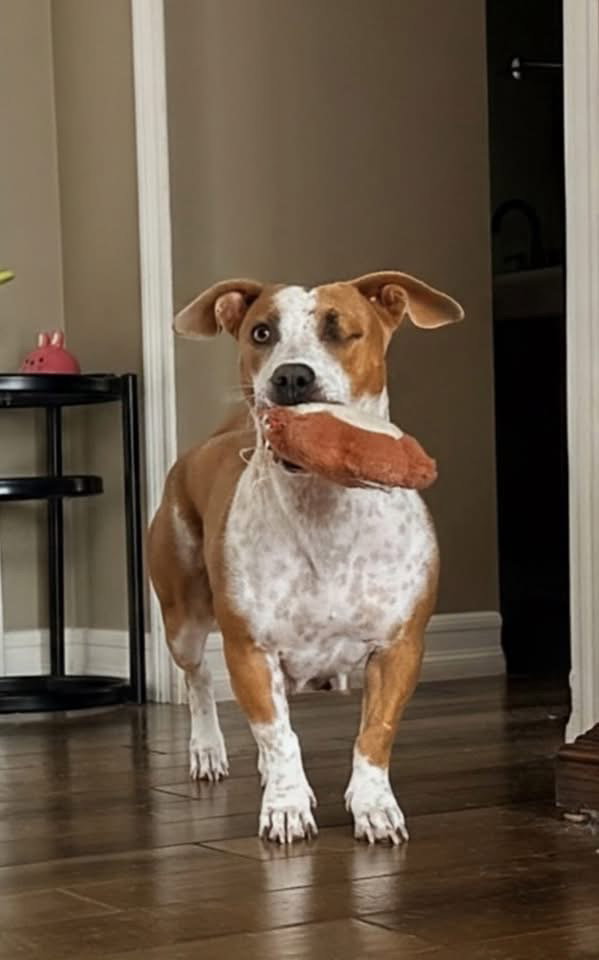 photo of Emma - Momma
