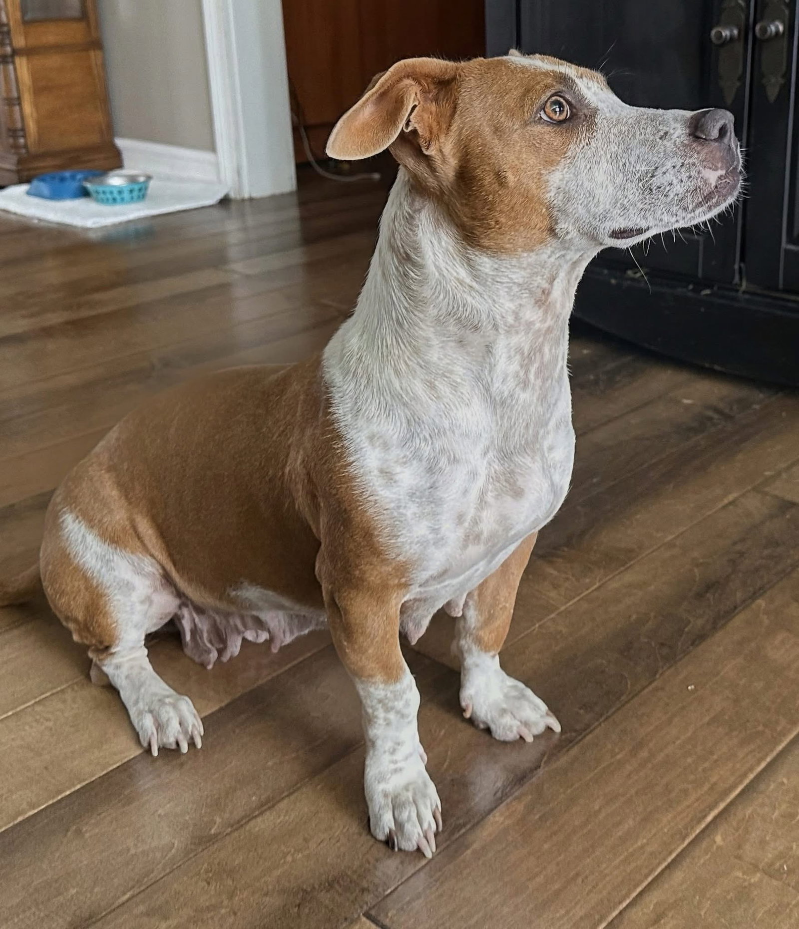 photo of Emma - Momma