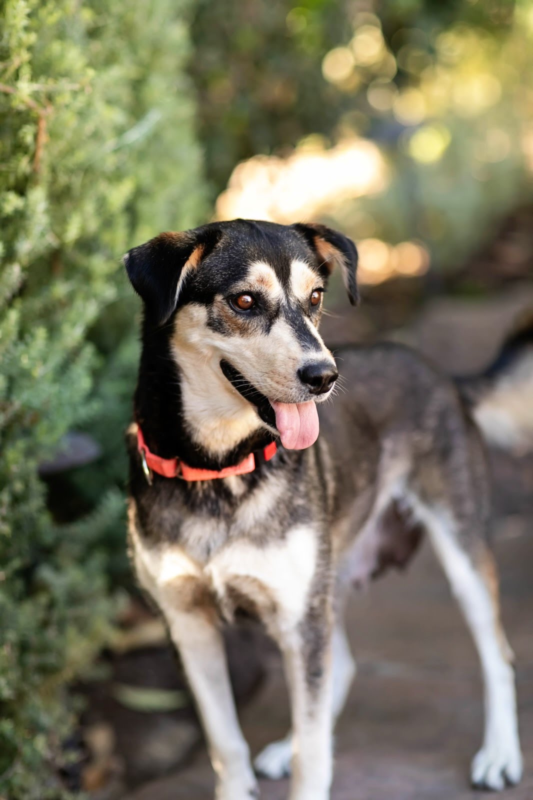 Heidi, photo 7