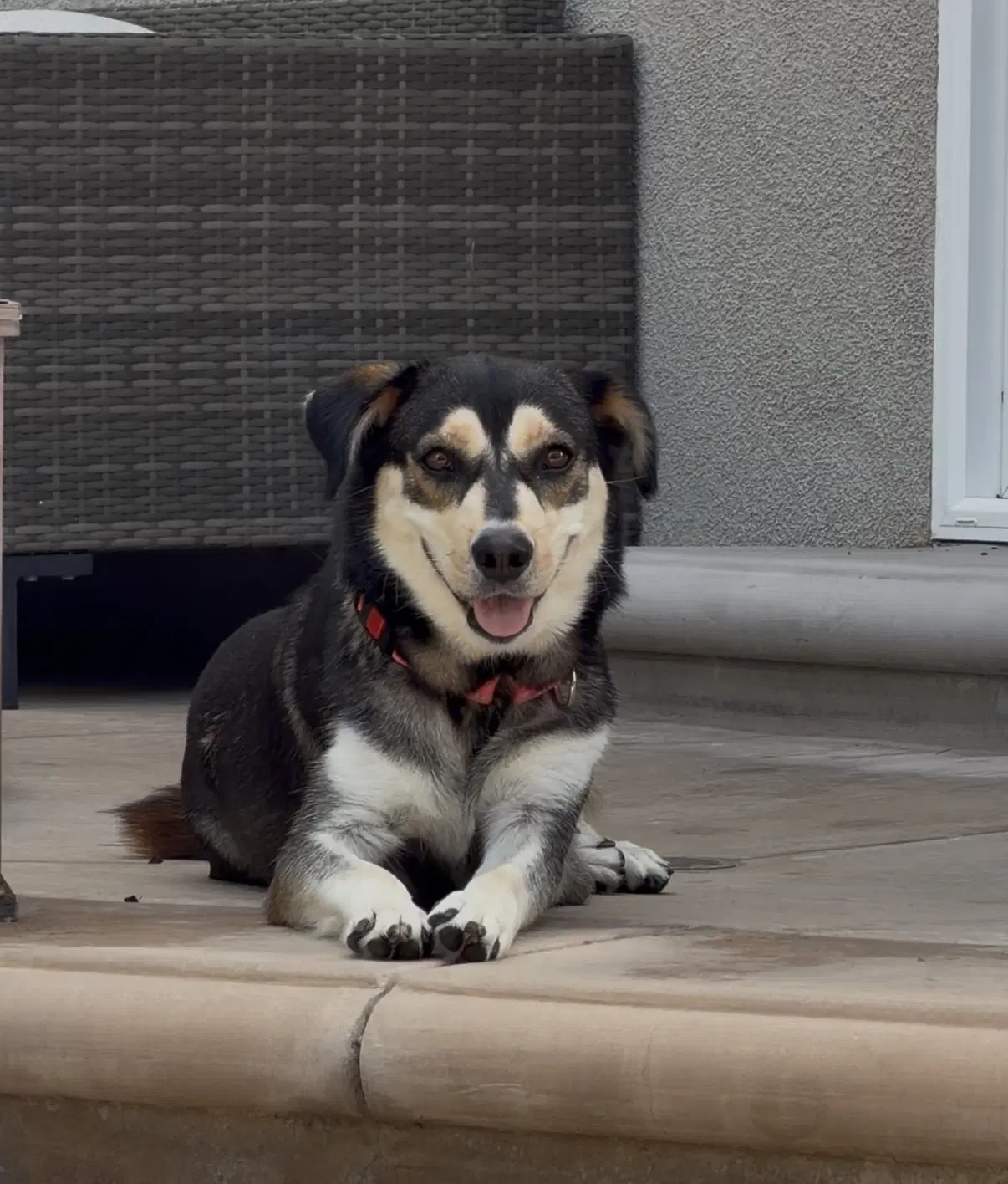 Heidi image 2