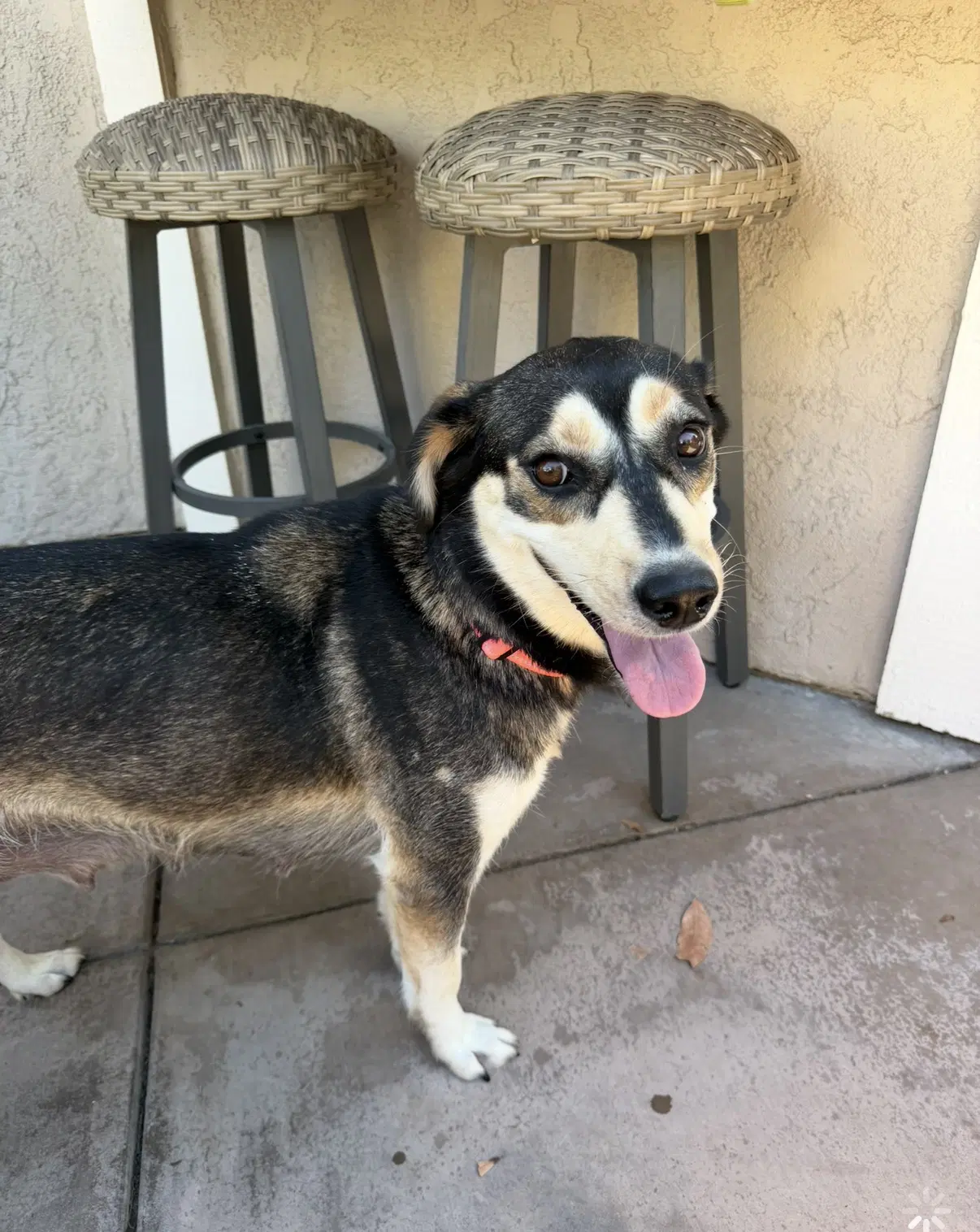 Heidi image 3