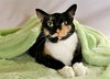 LOLA - Photo 1