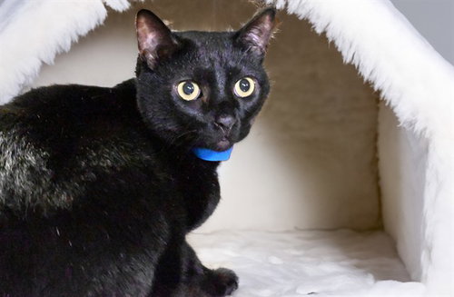 BINX