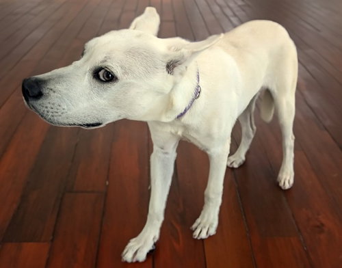 Casper