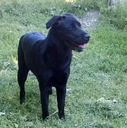 Tilly