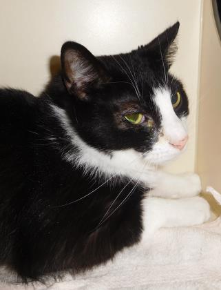TUX