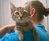 CLOVER BABY BELLE