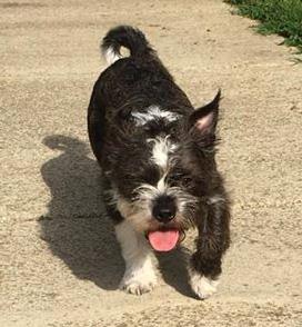 ROSCO