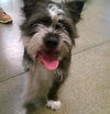 ROSCO