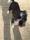 ROSCO