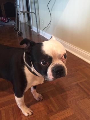 ROSCOE 2
