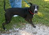 JULIA