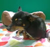 SPIKE