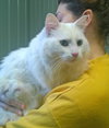SNOWBALL