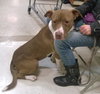 TRINITY