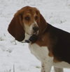 DROOPY