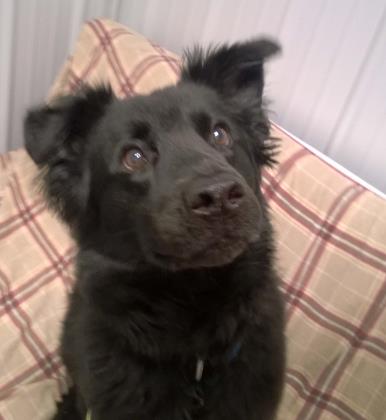 LUCY 2