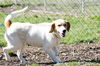 LUCY GIRL