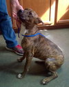 ROXY