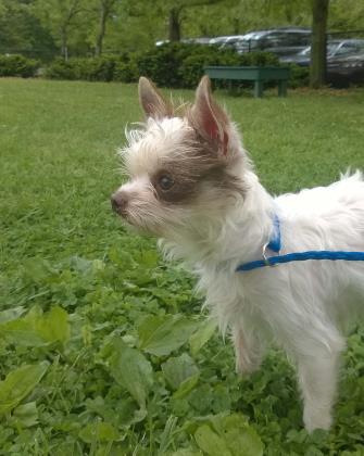 SPANKY