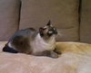 TOBY
