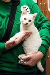 COTTONBALL