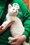 COTTONBALL