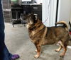 Duke 2
