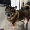 Duke 2